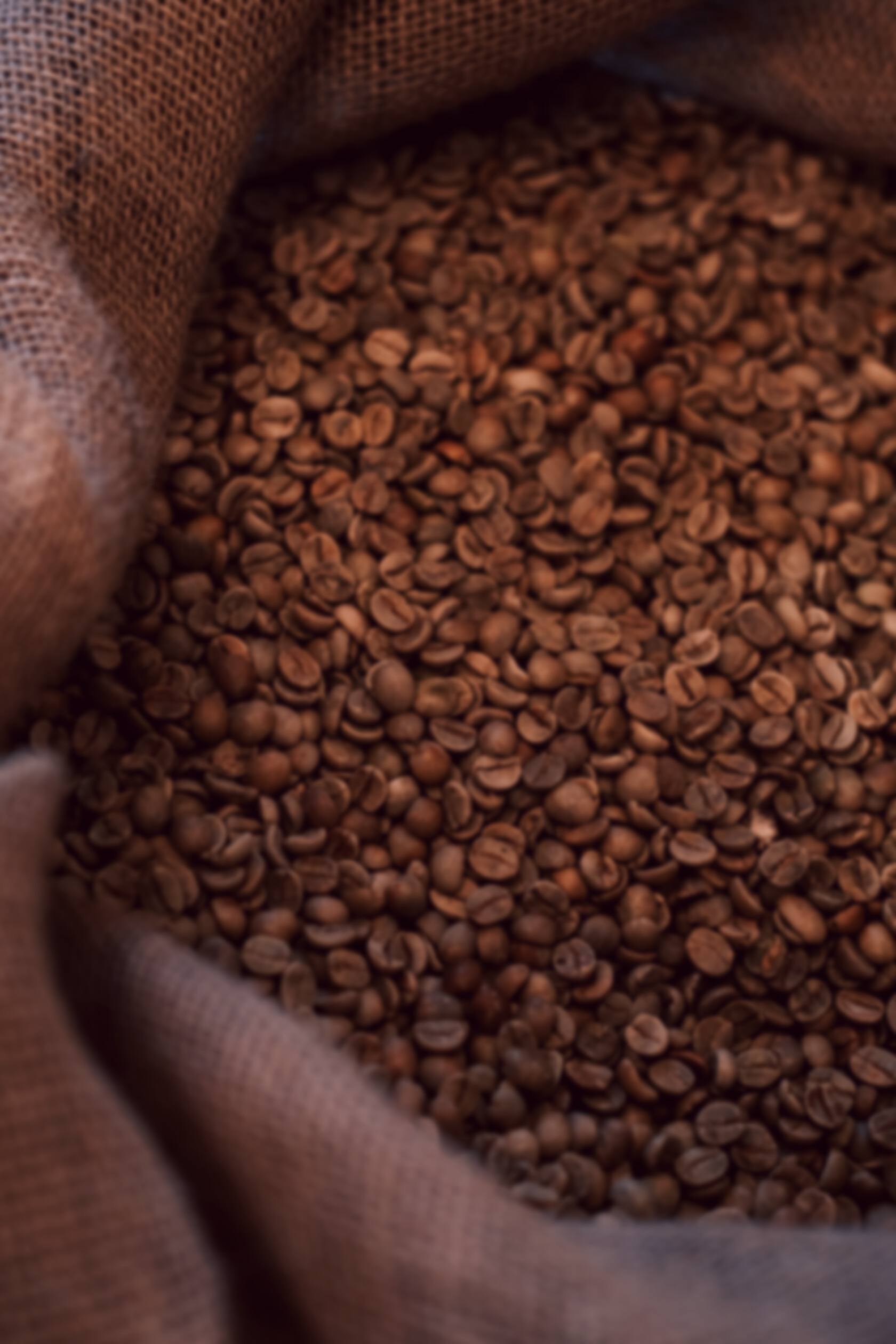 Roasted Coffee Beans in Burlap